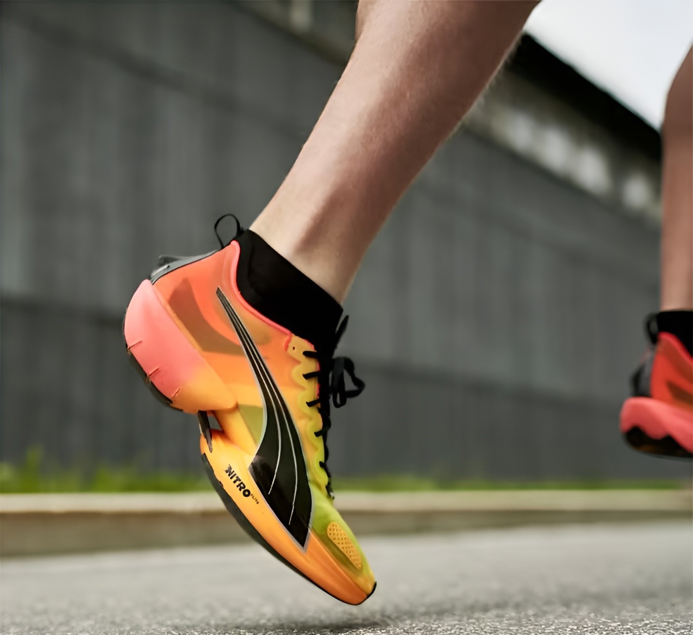 NEW PUMA 2-24 | jour-magazine.co.il